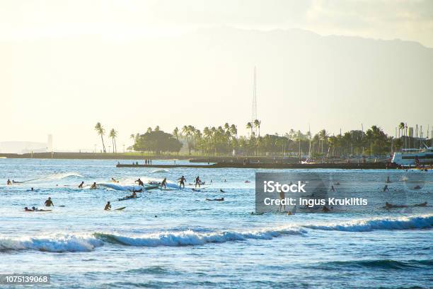 Many People Surfing On Surfboards Stock Photo - Download Image Now - Surfing, Maui, Breaking Wave
