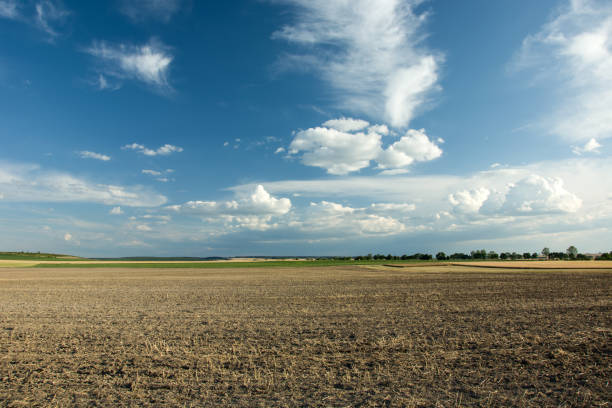 istock Plowed field and clouds in the sky 1075146610