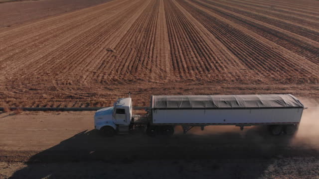 Aerial Drone Shot of a Covered Grain Semi-Truck Transporting Corn at Harvest Next to a Corn Field on a Farm