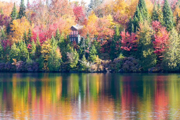 istock Autumn leaves, North Quebec Canada. 1075171538