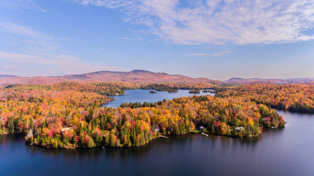 istock Autumn leaves, North Quebec Canada. 1075173544