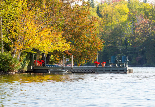 istock Autumn leaves, North Quebec Canada. 1075178552