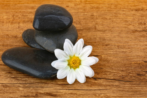 istock Spa stones and flower blossom 1075178578