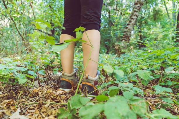istock Women shoe in deep forest. Exploring nature. 1075180226