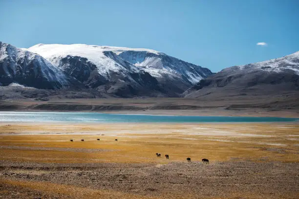 View of landscape at Leh Ladakh District ,Norther part of India