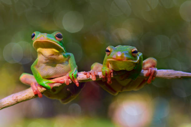 istock Just the two of us 1075243456