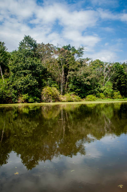 istock Landscape with tranquil lake with vegetation on the bank 1075244874