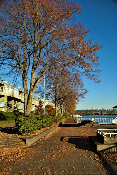 istock The Quay - New Westminster 1075250370