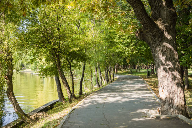 istock Landscape in Herastrau park, Bucharest 1075252598