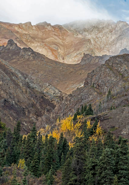 istock Vertical-Scenic landscape in fall colors in Denali National Park. 1075274894
