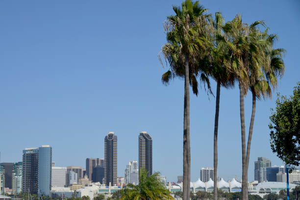istock Downtown San Diego from Coronado 1075280012