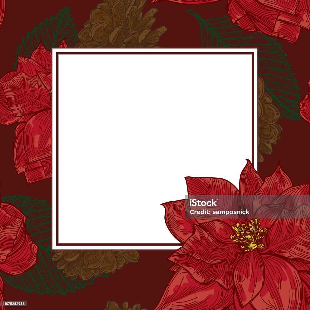 Traditional Poinsettia Holiday Christmas Template A simple, traditional poinsettia, pinecone and leaf Christmas-themed frame or template for your advertising or promotional purposes. Just drop your text in the box! Poinsettia stock vector