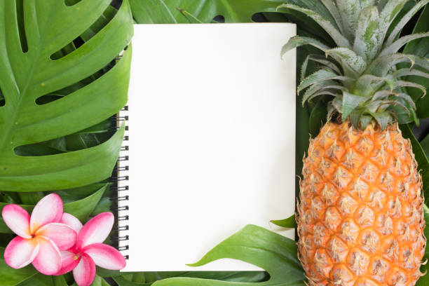 istock Tropical top view summer botanical concept still life white frame notebook and pineapple with monstera liana, vine, palm leaves and plumeria frangipani flower flat lay layout 1075285296