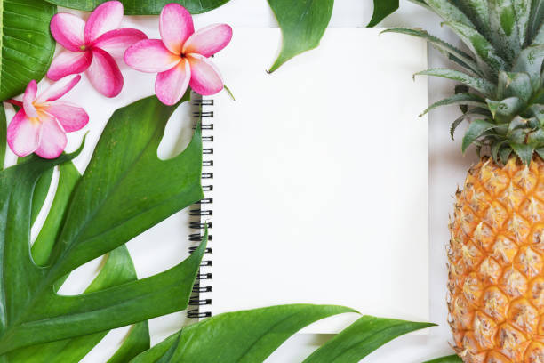 istock Tropical top view summer botanical concept  still life notebook pineapple frame with monstera liana, vine, palm leaves and plumeria frangipani flower flat lay layout 1075285734