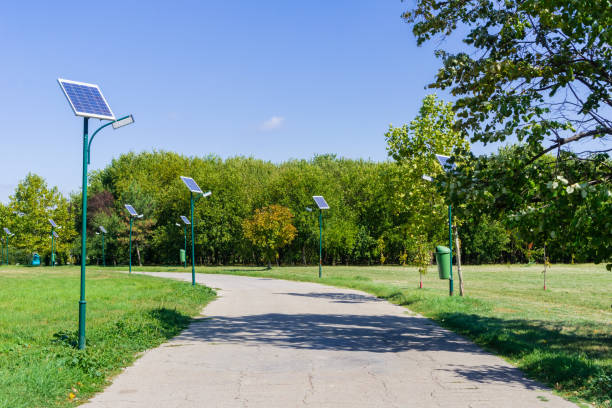 paysage dans le parc tineretului, bucarest - voltaic photos et images de collection