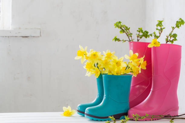 istock rubber boots and spring flowers on white background 1075305654