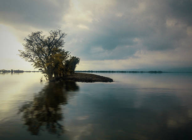 istock beauty of river 1075308670
