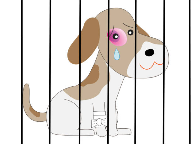 224 Dog Abuse Illustrations & Clip Art - iStock | Stop dog abuse 224 Dog Abuse Illustrations & Clip Art - iStock | Stop dog abuse