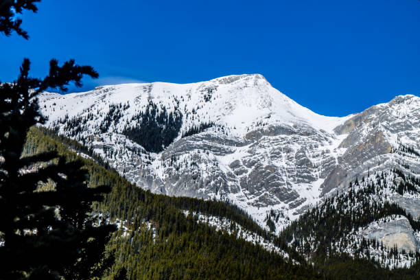 istock Mountains and trees starting their early spring thaw from Barrier Lake, Bow Valley Provincial Park, Alberta, Canada 1075318736