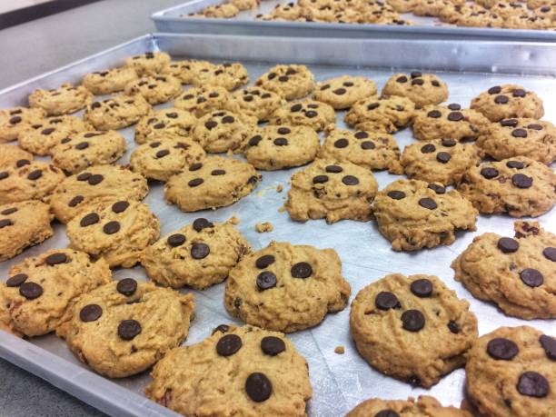 istock Chocolate Chip Cookies Homemade 1075322900