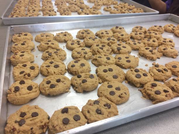 istock Chocolate Chip Cookies Homemade 1075322942