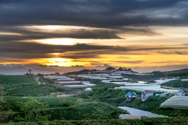 Photo of Image of the sunrays into the dawn at a valley with of greenhouses in Da Lat town, Viet Nam