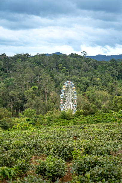 ferris roda gigante no parque, entre a floresta em bao loc, província de lam dong, vietnã - autumn fun ferris wheel carnival - fotografias e filmes do acervo