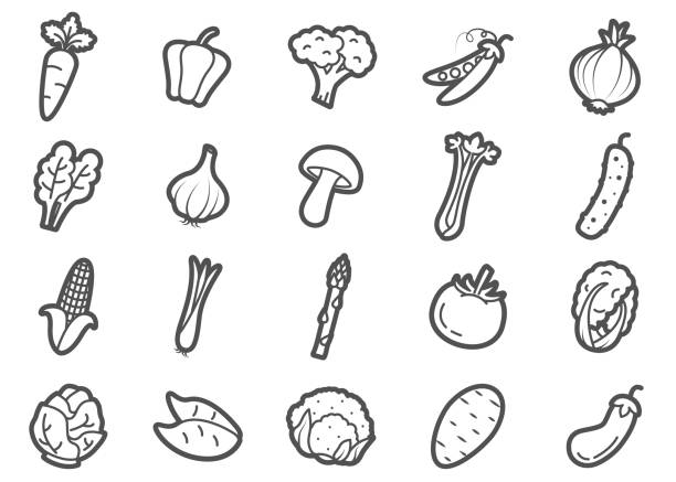 Vegetables Line Icons Set There are various of vegetable prominent line  icons set. Note : an american top 20 favorite vegetables. raw potato vegetable illustration and painting symbol stock illustrations