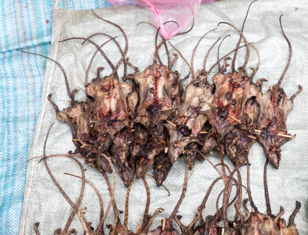 istock Roasted rats on  Market 1075348212