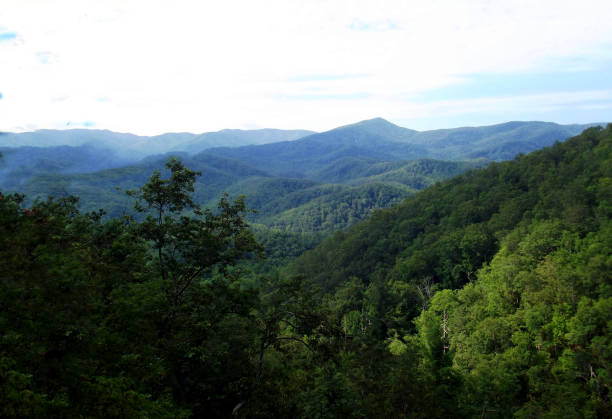 istock Woods: Smokey Mountains National Park Scenic Shot 1075348572