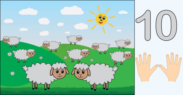 ilustraciones, imágenes clip art, dibujos animados e iconos de stock de oveja. número 10 (diez). aprender a contar, las matemáticas. educación para los niños. ilustración de vector. - number 10 flash