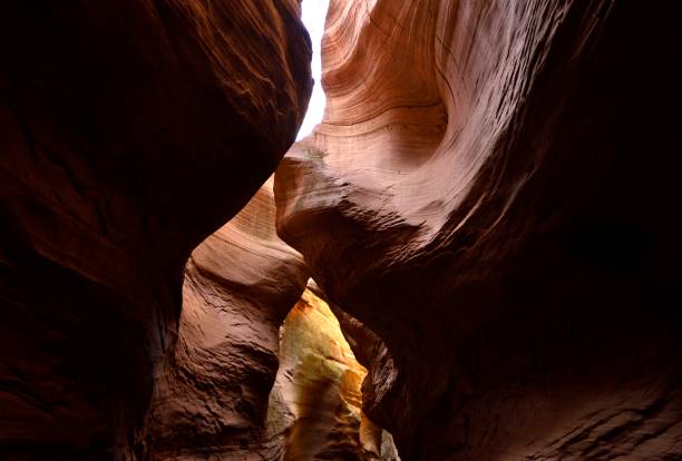 istock Strange and spectacular grand canyon 1075374410