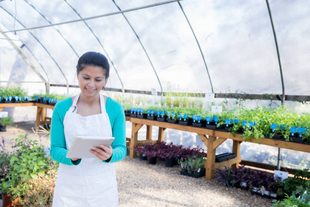 istock Nursery owner using digital tablet in greenhouse 1075374770