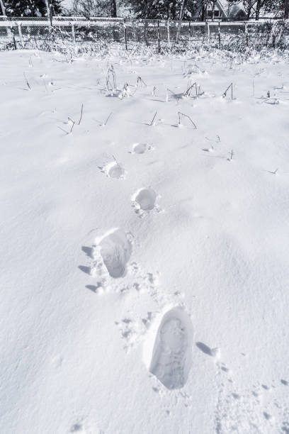 istock Footprint and hands on snow 1075378580