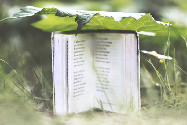 Copy Space idea Book Pages Story Ideas