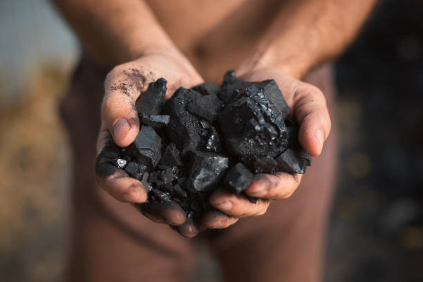 poor middle-aged man holding the hands of stone coal for sale to provide food for his family stock photo