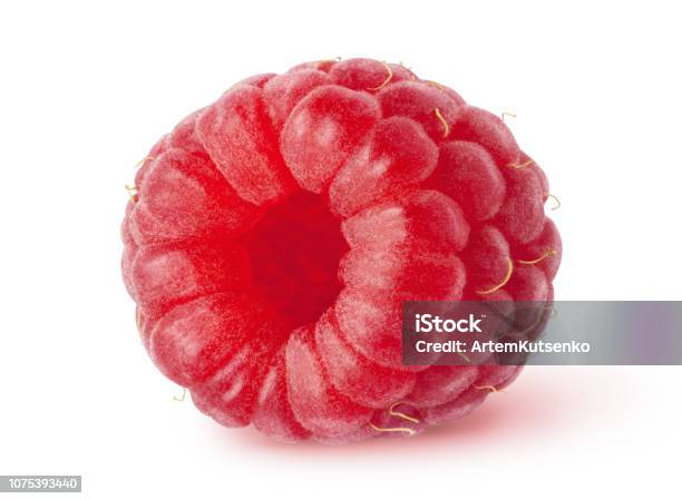 Fruit 20 Raspberry Isolated Berry One Ripe Raspberry Fruit Isolated On White Background ...