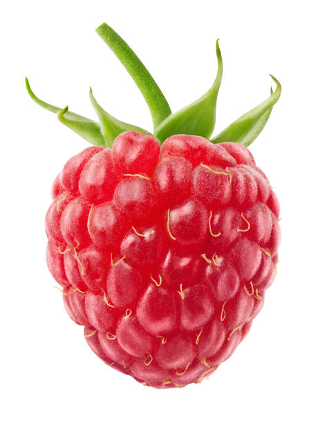 Isolated berry. One single fresh raspberry fruit isolated on white background with clipping path