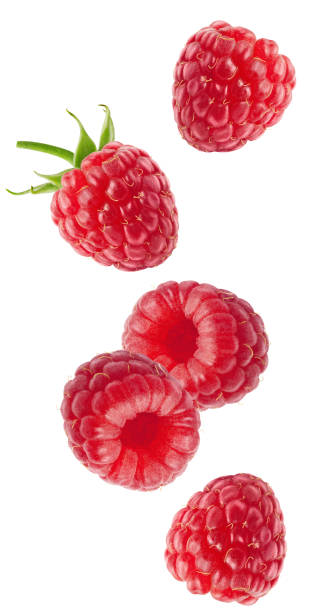 istock Isolated flying berries. Falling raspberry fruits isolated on white background with clipping path 1075393490