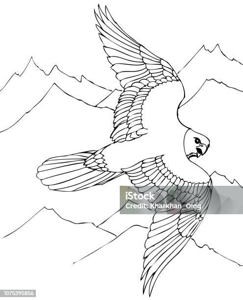 Hawk Flies Over Rocky Mountains Stock Illustration - Download Image Now - Sparrow Hawk, Eagle - Bird, Golden Eagle