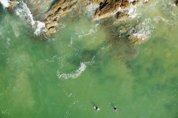 istock noosa national park 1075411502
