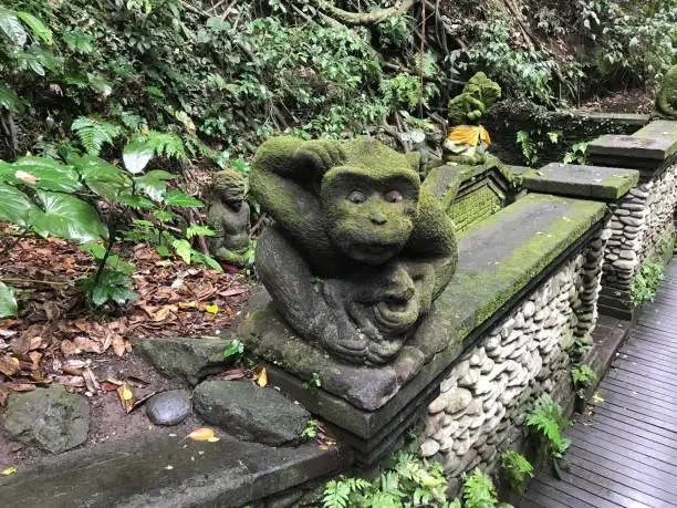 stone sculpture of a monkey sitting on a wall in a forest while it was raining or humid weather