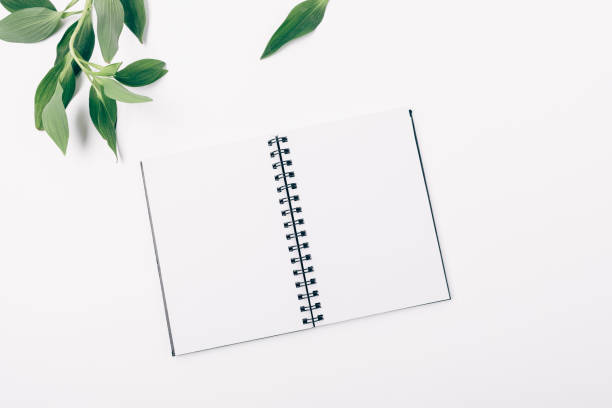 istock Flat lay open blank notebook and fresh green leaves 1075424574