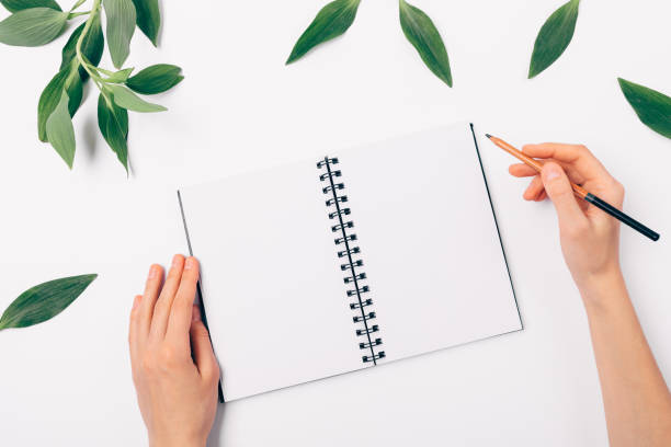 istock Flat lay woman's hands holding pencil near open blank notebook 1075424638