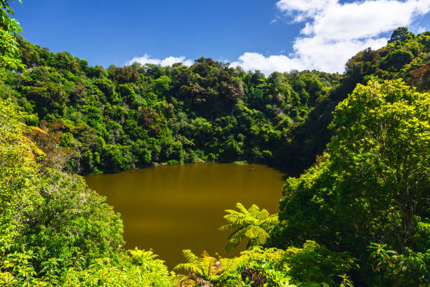 istock volcanic lake at waimangu 1075425478