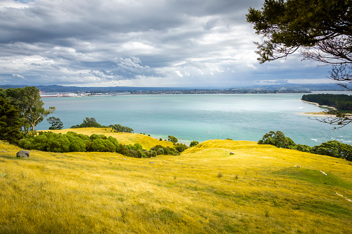 An image of a view from Mount Maunganui New Zealand