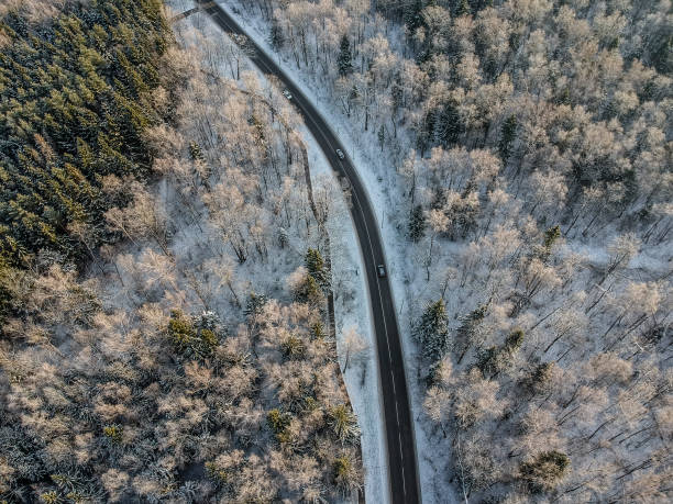istock Winter forest with a road on a cold sunny morning 1075432726