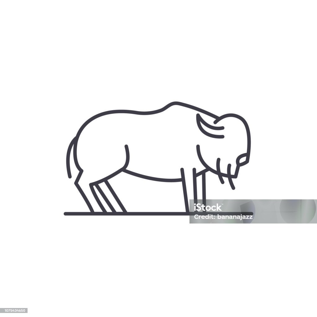Concept de bœuf musqué ligne icône. Illustration de linéaire vectorielle musqué, symbole, signe - clipart vectoriel de Afrique libre de droits