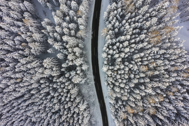 istock aerial view directly above road through winter forest with snow covered trees 1075443134