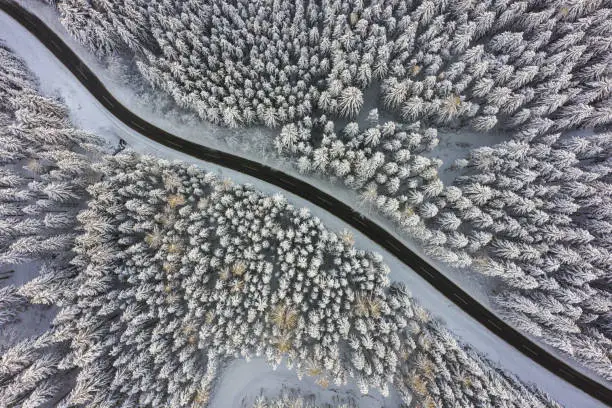 Photo of aerial view awesome view down to country road through winter snow forest trees